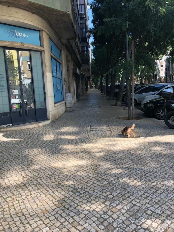 99 Flowers Flat Lisboa Екстериор снимка